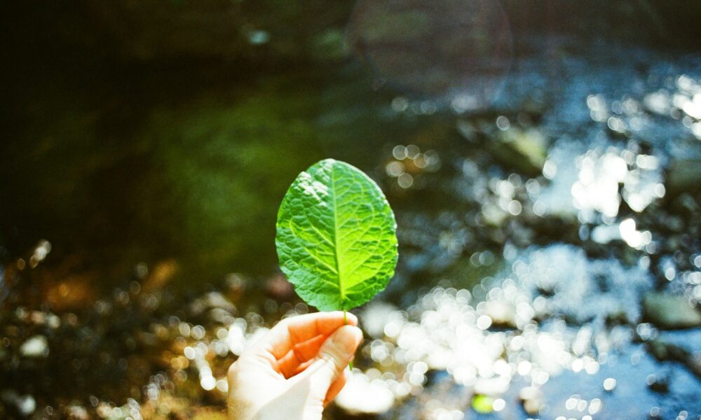 How can we change our lifestyle to help the environment