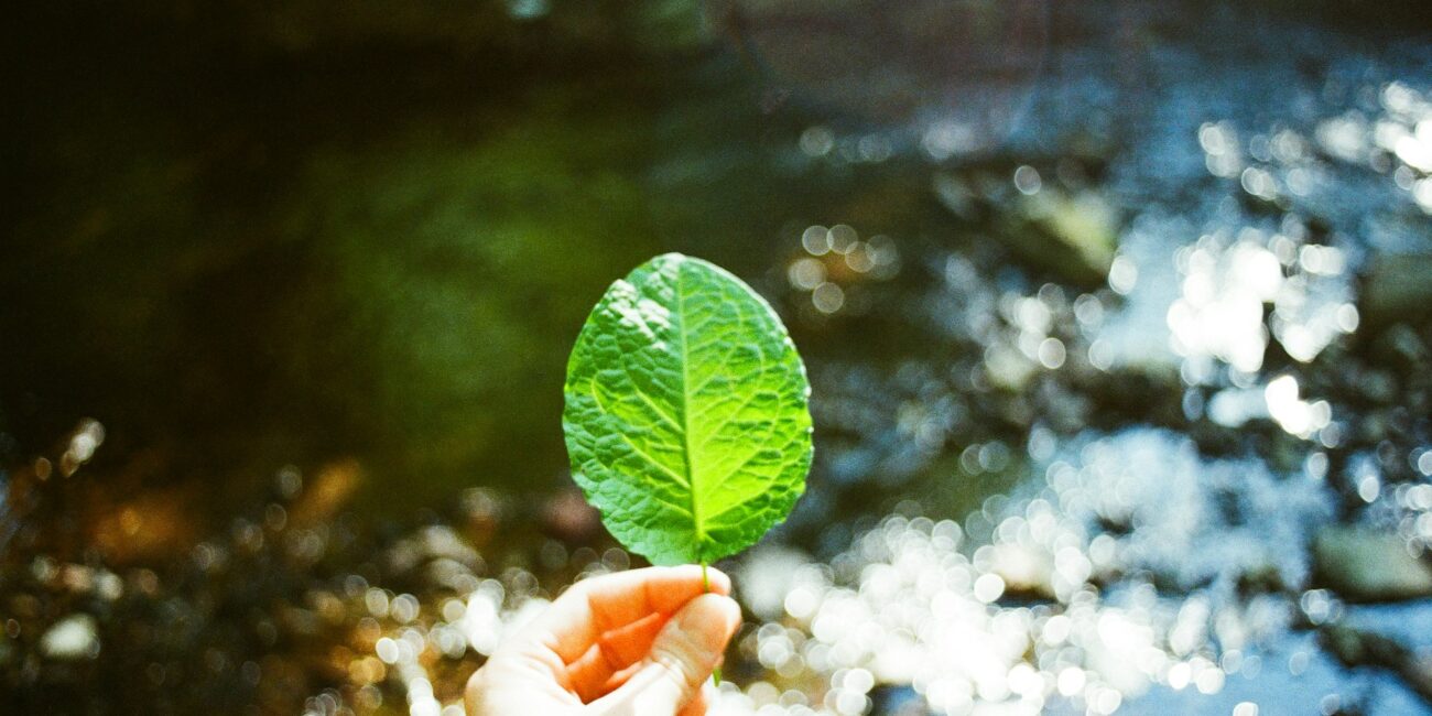 How can we change our lifestyle to help the environment