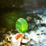 How can we change our lifestyle to help the environment