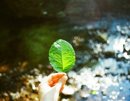 How can we change our lifestyle to help the environment