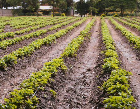 Which technology will help farmers most