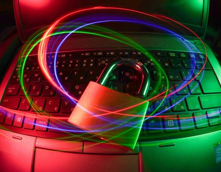 What are the four cyber frauds