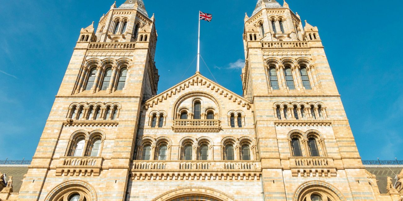 What is the UK health system